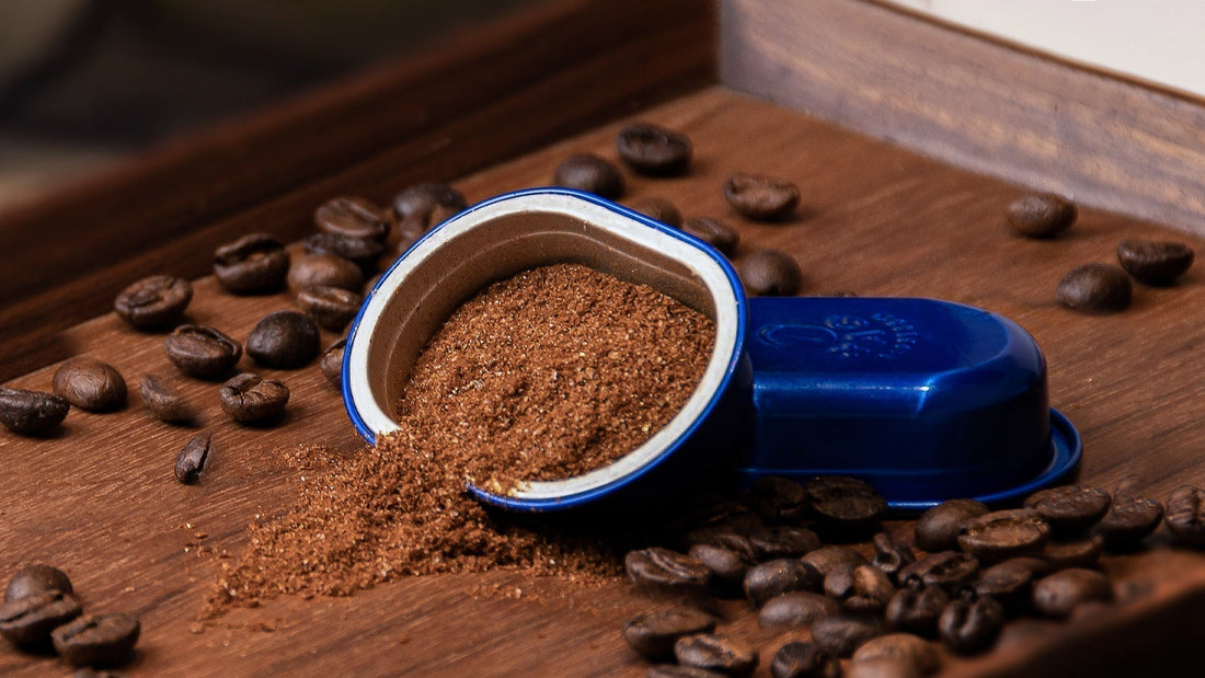 The Science Behind Coffee Freshness: How to Keep Your Beans at Their Best